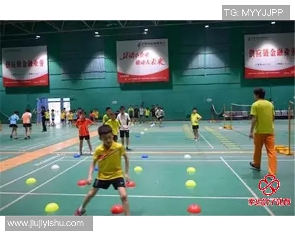 深入分析北京羽毛球队反击战术的优势与应用技巧